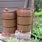 Rain barrels have been a popular household conservation tool